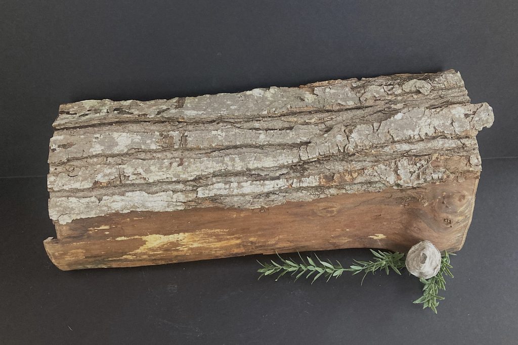 fireplace log with bit of greenery and small bee's nest