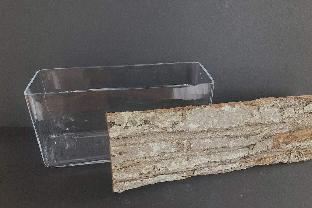 rectangular glass vase and piece of bark from a fireplace log