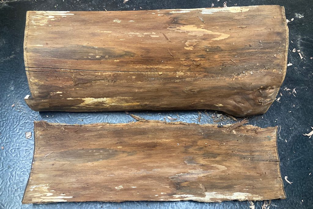 sheaf of bark removed from fireplace log for Woodland Floral Arrangement