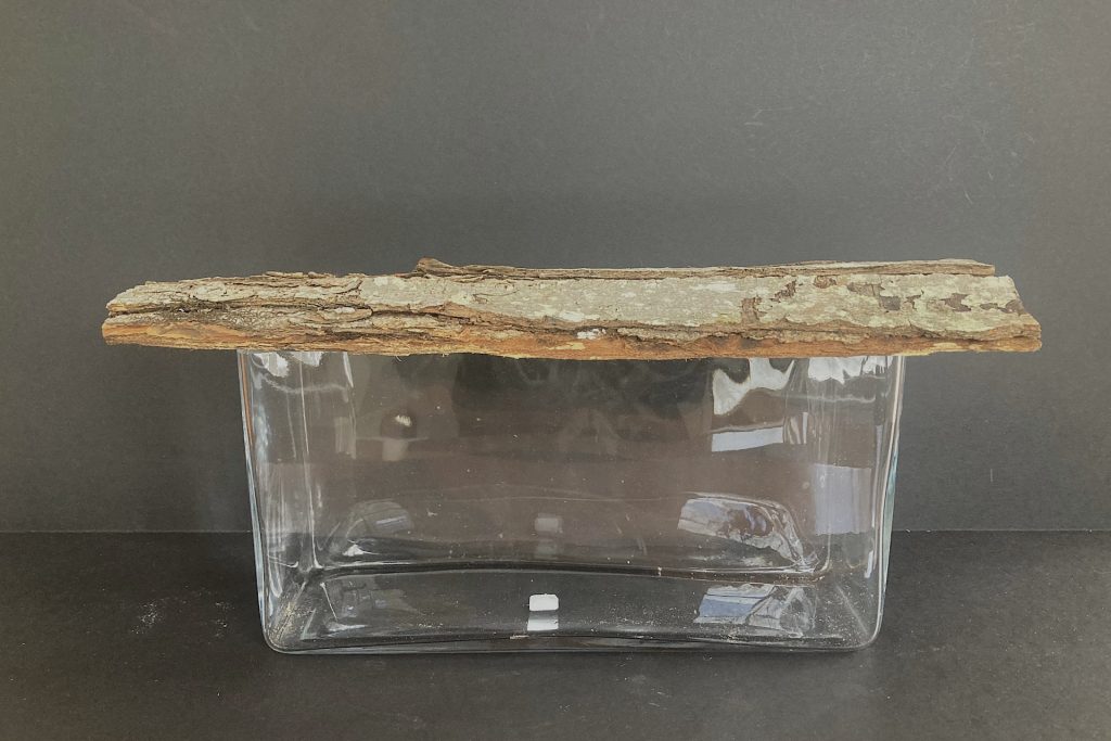 sheaf of bark laid on top of rectangular glass vase