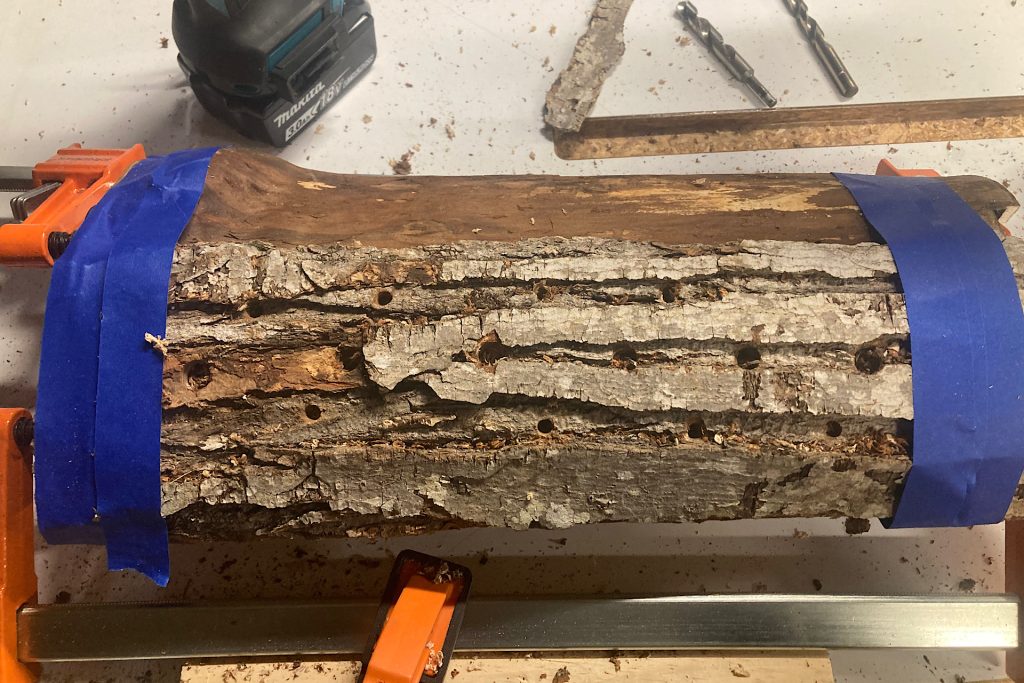 holes drilled in fireplace log for floral arranging