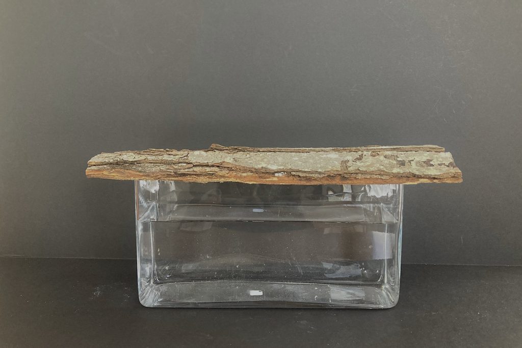 rectangular vase filled with water with sheaf of bark on top