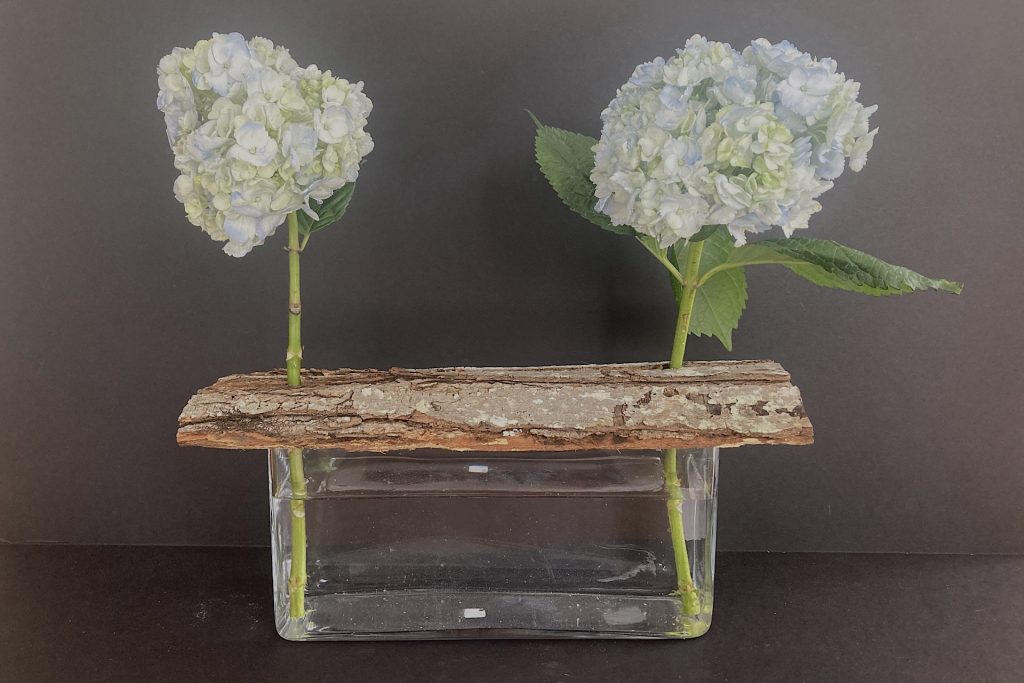 two hydrangea flowers placed through bark on top of vase