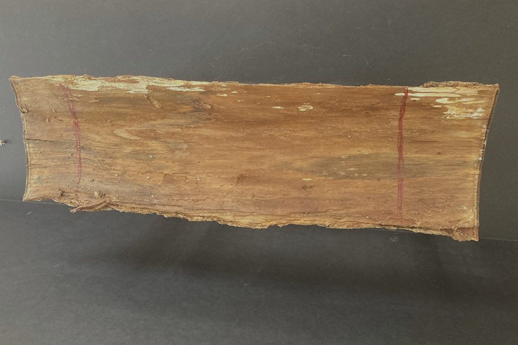underside of sheaf of bark from fireplace log